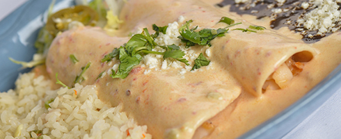 Lobster Enchiladas at Guadalajara Grill, Bar, & Table Side Salsa in Tucson Arizona. Lobster Enchiladas at Guadalajara Grill, Bar, & Table Side Salsa in Tucson Arizona.